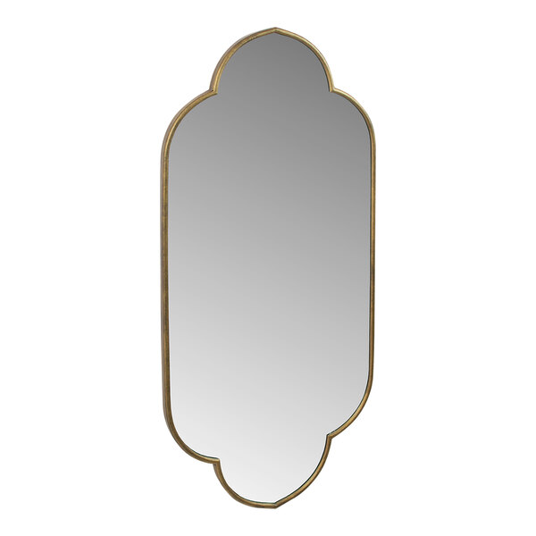 Kalalou 22 1/2" x 48" Metal Framed Mirror