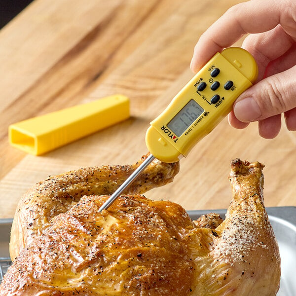 A hand holding a yellow Taylor digital pocket thermocouple thermometer with a screen over a chicken.