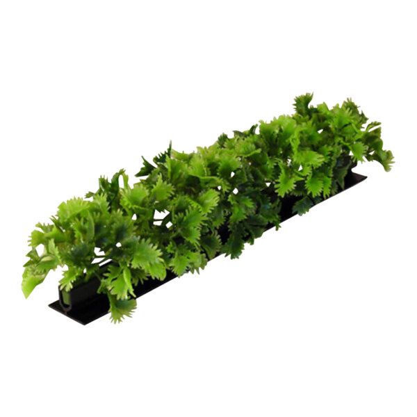 A Dalebrook green melamine parsley divider with a plant in it.