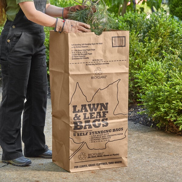Duro 30 Gallon Self-Standing 2-Ply Printed Natural Kraft Paper Lawn and  Leaf Bag 22453 - 60/Case