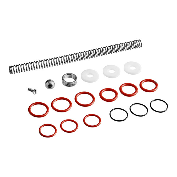 A ServSense replacement parts set with metal springs and rings, and red and black o-rings.