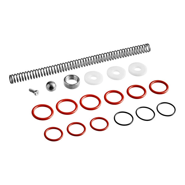 A ServSense condiment pump repair kit with metal and plastic rings, springs, and other parts.