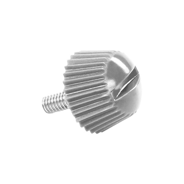 A close-up of a silver slotted thumb screw with a spiral end.