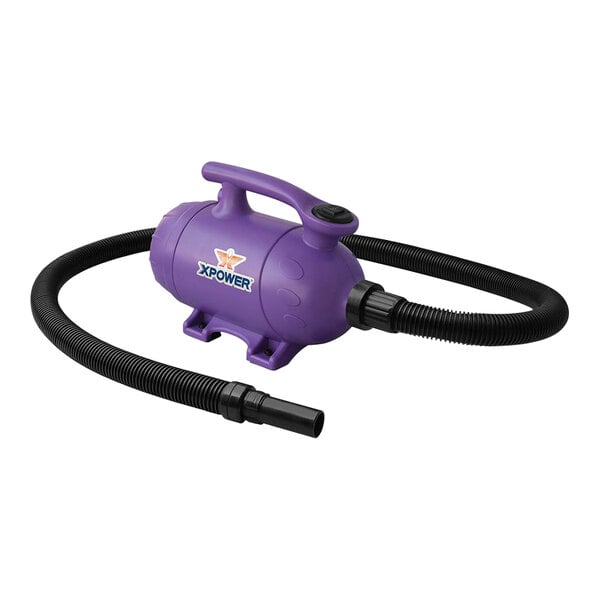An XPOWER purple pet vacuum cleaner with a black hose.