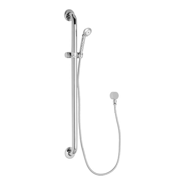 A Chicago Faucets wall-mounted shower hand spray with hose and grab bar.