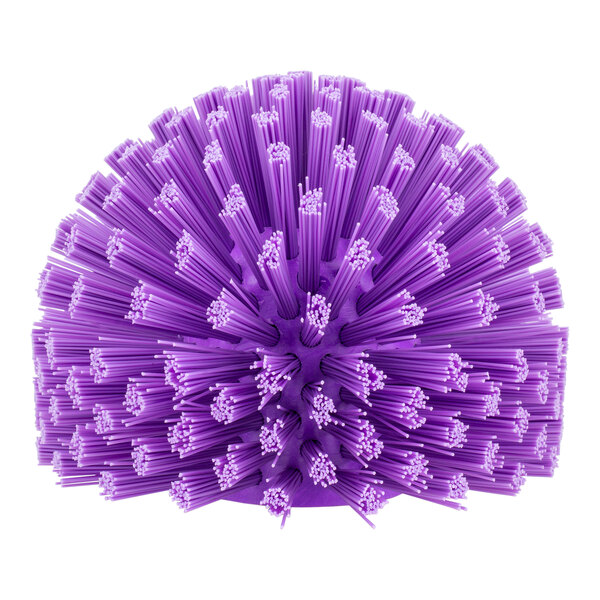 A purple ball with many bristles.
