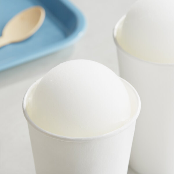 Philadelphia Water Ice Coconut Italian Ice Base 1 Gallon