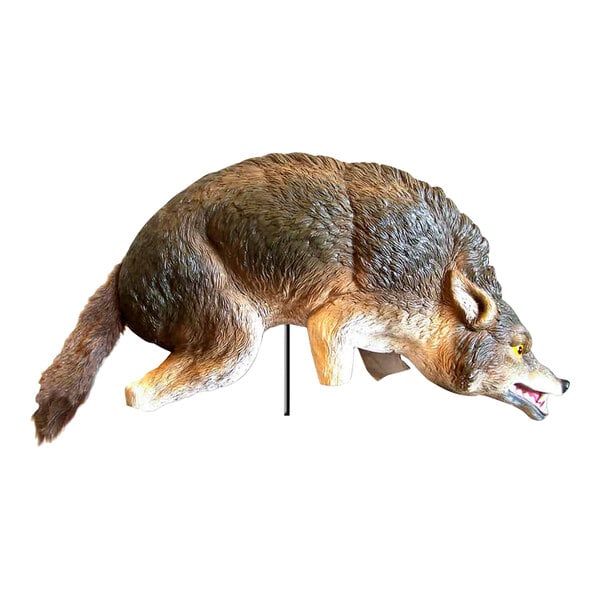 A 3D coyote predator decoy on a stand.