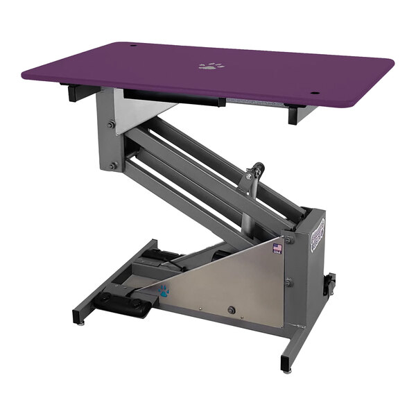 A Groomer's Best electric purple grooming table with a silver frame.