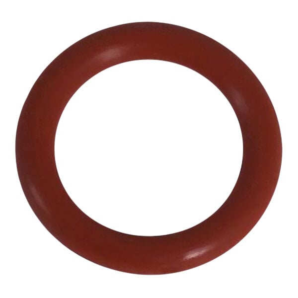 An orange silicone o-ring with a white background.