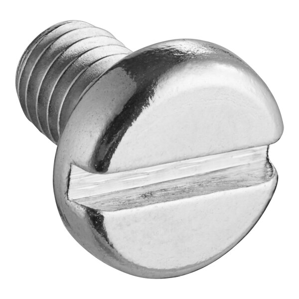 A close up of a Bunn stainless steel slotted pan head screw.