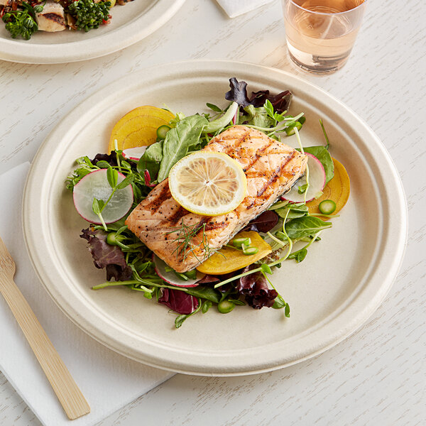 A World Centric compostable fiber plate with a piece of salmon and salad on it.