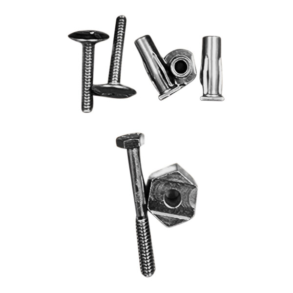 Ashland PolyTrap RVT2035 RivNut Repair Kit with Screws for APLI253