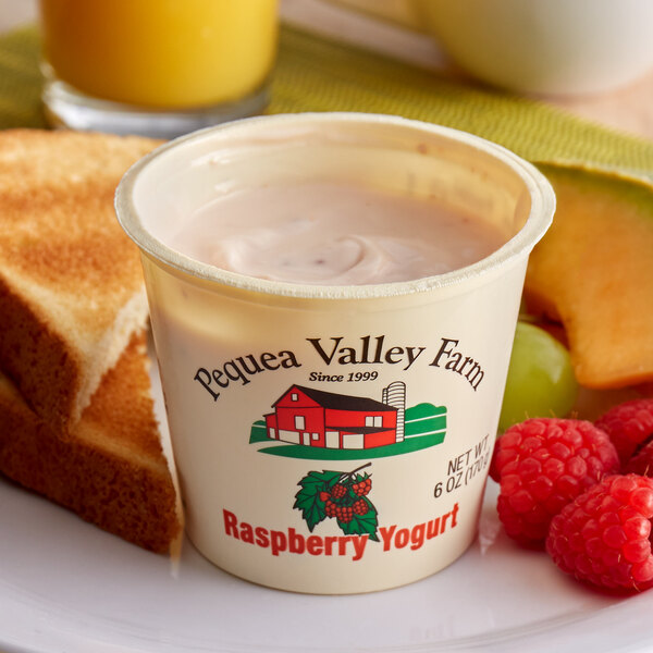 A cup of Pequea Valley Farm raspberry and mango yogurt with fruit.
