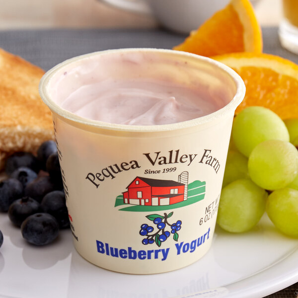 A cup of Pequea Valley Farm blueberry yogurt with fruit on a plate.