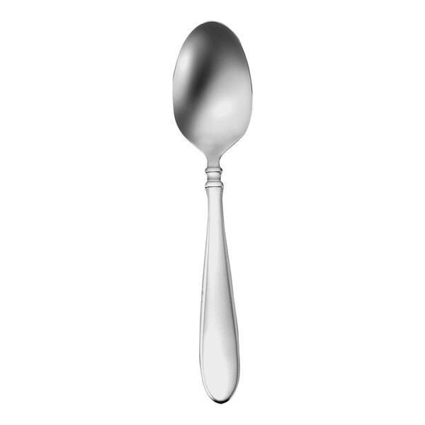 A Sant' Andrea Corelli stainless steel serving spoon with a white handle.