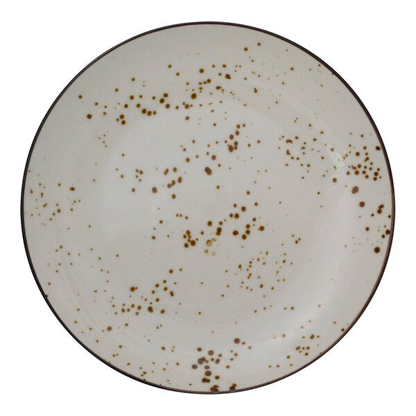 An International Tableware white stoneware coupe plate with brown specks.