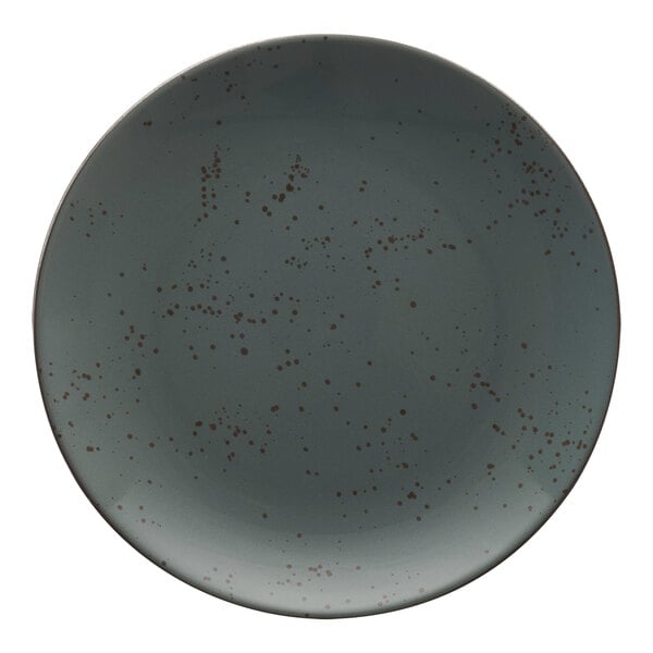 A close-up of a Lunar Blue stoneware coupe plate with a speckled pattern.