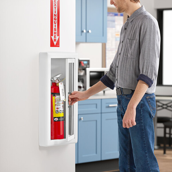 Badger Advantage ADV10 10 lb. Dry Chemical Tagged Rechargeable Fire