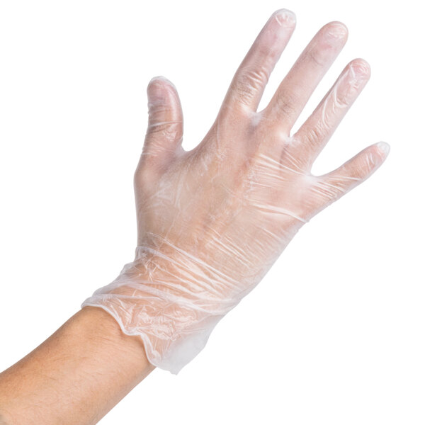 Noble Products Large Powdered Disposable Vinyl Gloves for Foodservice