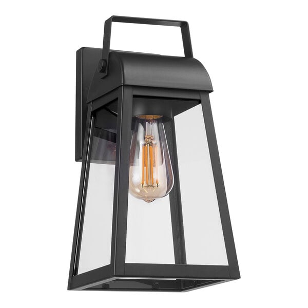 Globe Farmhouse Matte Black Outdoor Wall Sconce with Cage Frame and Clear Glass Shade - 120V, 60W