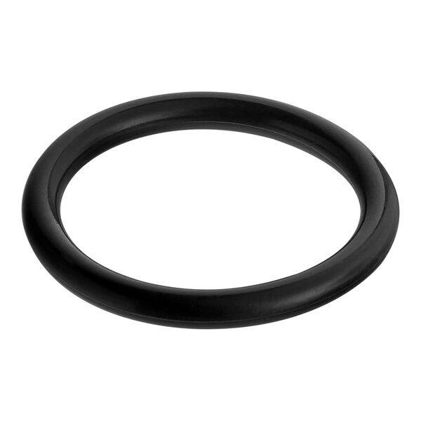 Seko 9900106744 EPDM Plunger O-Ring for HP30EN000000 - 10/Pack