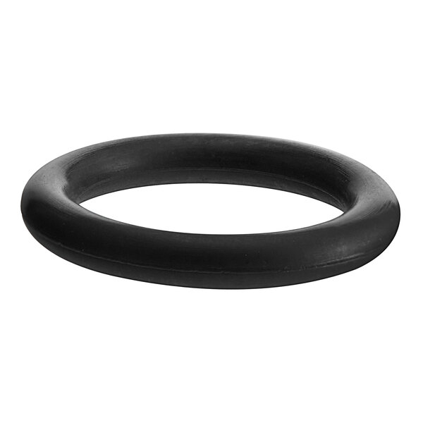 Seko RIC0152321 EPDM O-Ring for ProMax Chemical Dilution Systems - 10/Pack