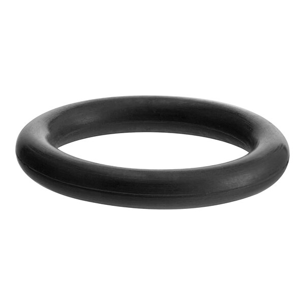 Seko RIC0152320 FPM O-Ring for ProMax Chemical Dilution Systems - 10/Pack