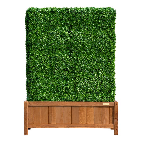 NatraHedge 1250 Series 72" Artificial Boxwood Hedge with Wooden Planter