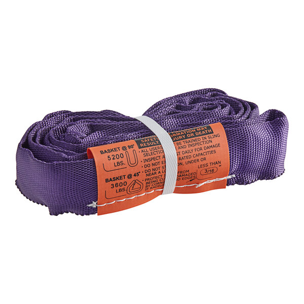 Lift-All 4' Purple Tuflex Endless Polyester Roundsling EN30X4