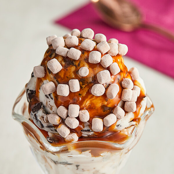 Kraft Mini Chocolate Dehydrated Marshmallow Topping 40 lb.