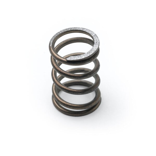 A T&S metal spring with black ring on a white background.