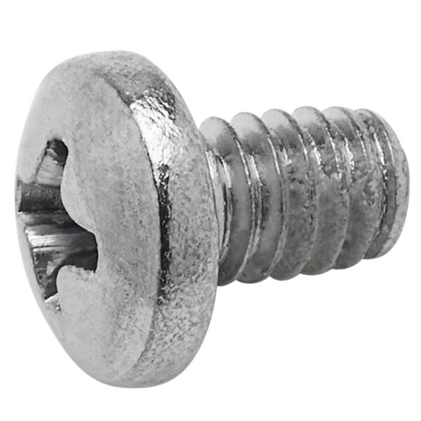 A close-up of a T&S metal screw.
