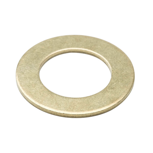 A brass circular washer with a white circle inside.