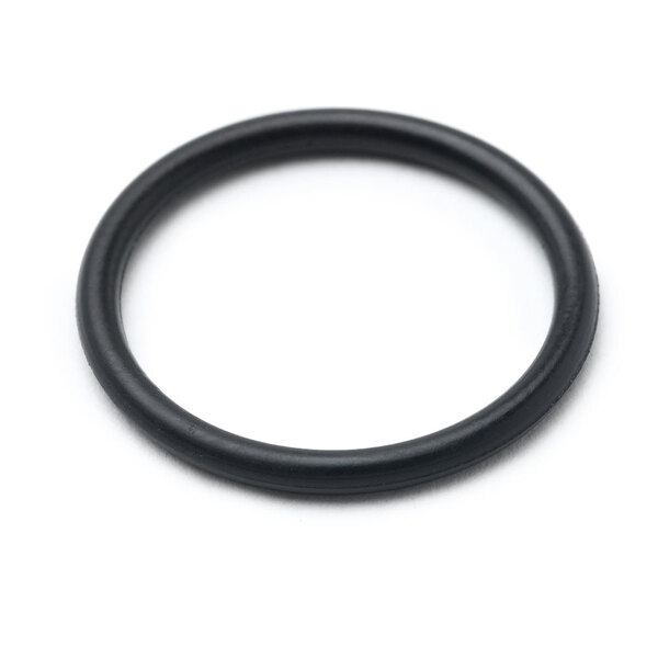 A black rubber o-ring on a white surface.