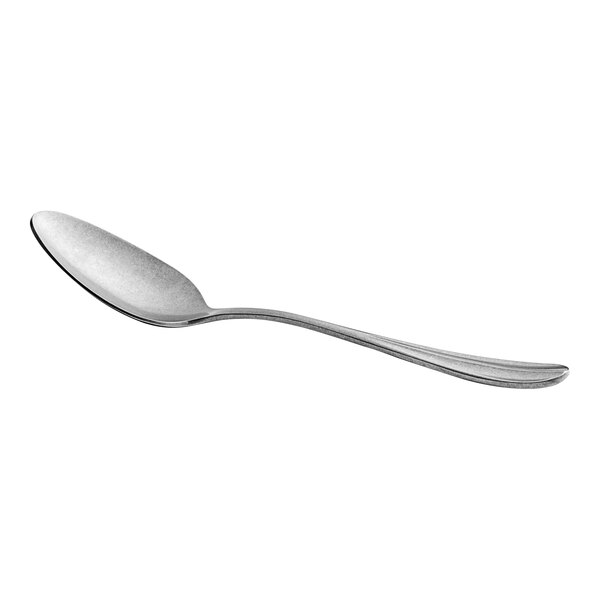 An Acopa stainless steel serving spoon with a silver handle.