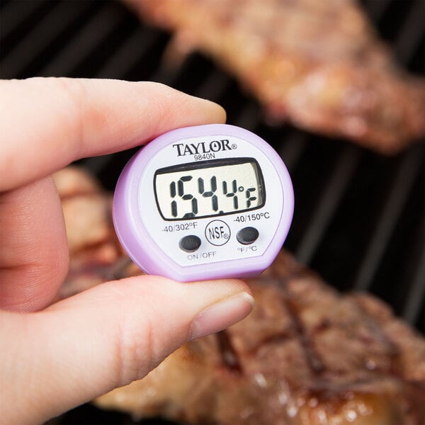 A person holding a Taylor digital pocket probe thermometer.