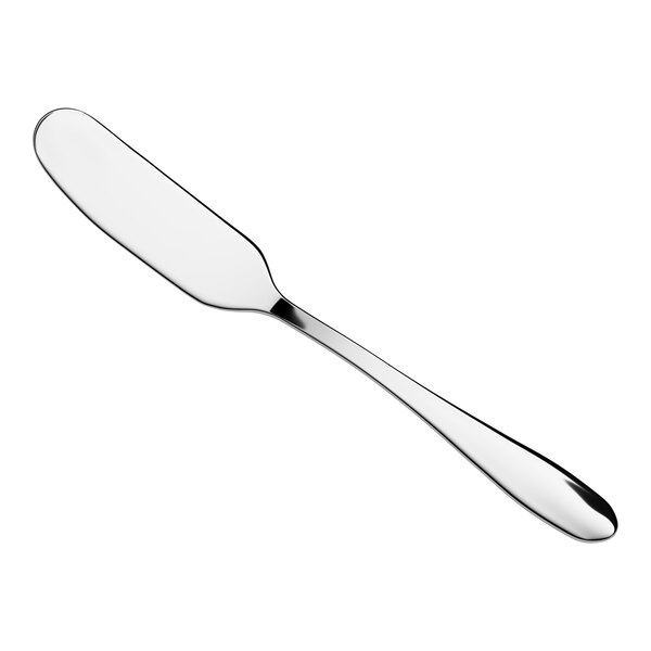 A stainless steel butter knife with a smooth, rounded blade and a polished handle.