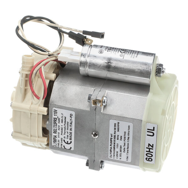 Champion 0514317 Pump, Rinse 115V Hr M4.2