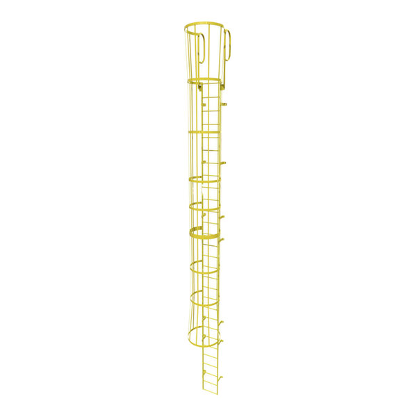 Tri-Arc 29-Rung Yellow Steel Fixed Ladder with Safety Cage and Walk ...