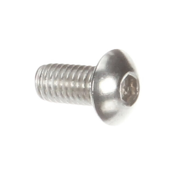 Berkel 01-402175-02854 Button Socket Hd Cap Screw