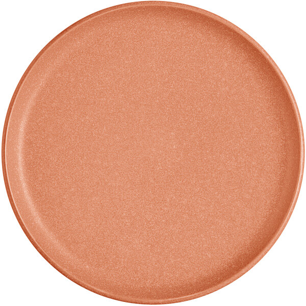A round, terra cotta-colored plate with a matte finish and a slightly raised rim.