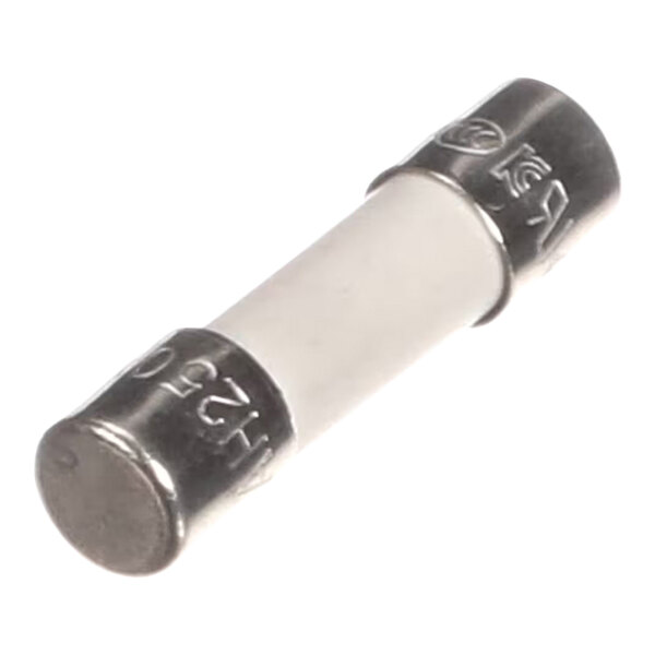 Bizerba 000000071451600000 Fuse 6.3 Amp