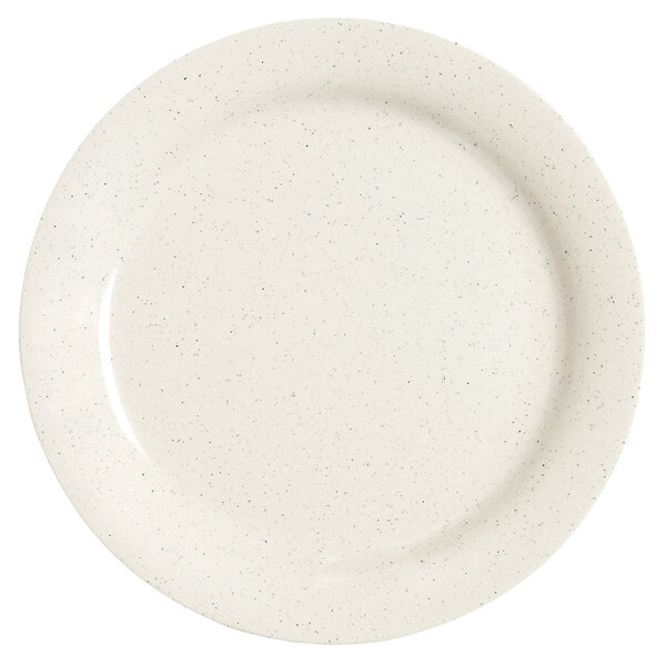 A white Santa Fe Ironstone plate with speckled specks.