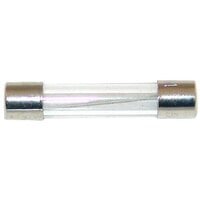 All Points 38-1404 1/4 inch x 1 1/4 inch 10A Fast Acting Glass Fuse - 250V
