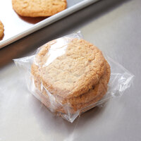 Plastic Lip and Tape Resealable Sandwich / Cookie Bag 5 inch x 5 inch   - 1000/Box