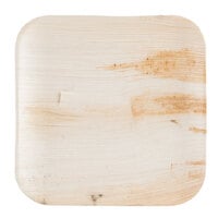 Eco-gecko 10" Square Sustainable Palm Leaf Plate - 100/Case
