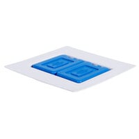 Cal-Mil CC3329 Cold Packs and Liner for Square Chill Pack Display