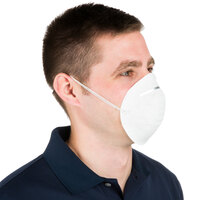 General Purpose Nuisance Dust Mask   - 50/Box