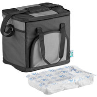 Choice Small Insulated Nylon Cooler Bag with Brick Cold Pack (Holds 24 Cans)